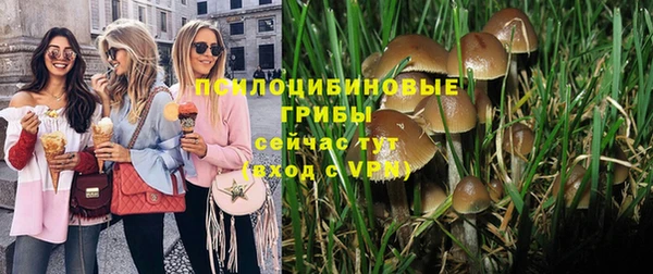 круглые Коряжма