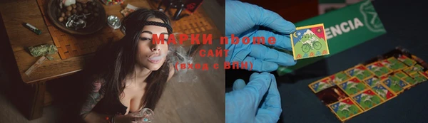 индика Красноперекопск