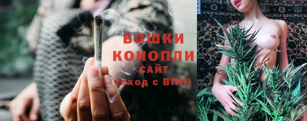 индика Красноперекопск