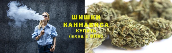 стаф Краснослободск