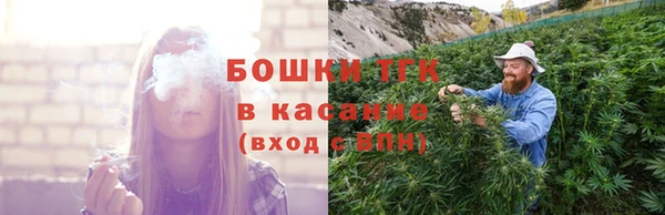 стаф Краснослободск
